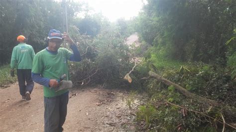 Secretaria Municipal De Meio Ambiente Atende Ocorrências Em áreas