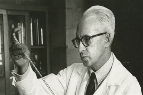 Severo Ochoa Pioneer In Biochemistry And Nobel Laureate Observer Voice