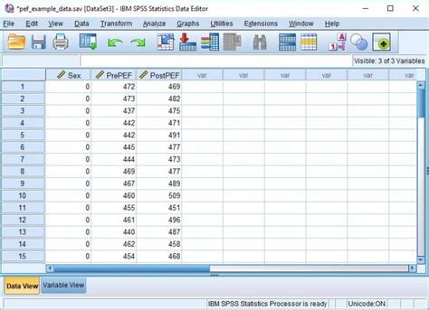 Paired Sample T Test In Spss Quick Spss Tutorial