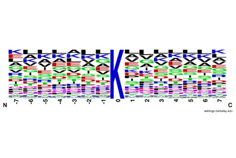 Ptmscan Hs Succinyl Lysine Motif Succ K Kit Cell Signaling Technology