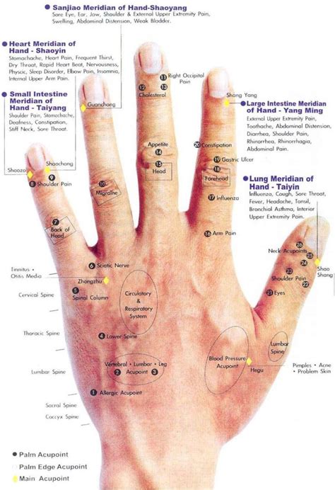 Printable Acupressure Points Chart