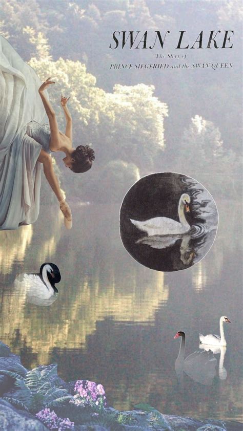 { SWAN LAKE PART ONE } #ballet #balletcore #swanlake #blackswan #dance ...