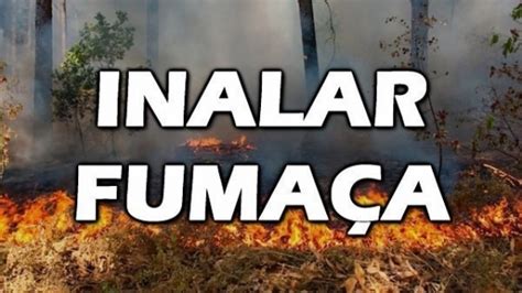 Queimadas O Que Fazer Se Inalar Fumaça Buscar Saúde