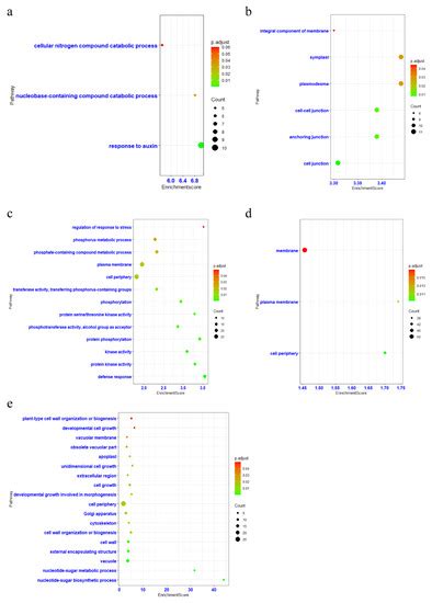 Ijms Free Full Text Integrated Analysis Of Transcriptome And Small