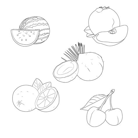 Premium Vector Five Fruits Line Art