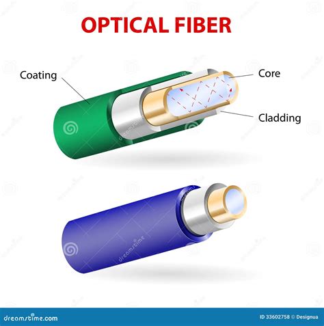 The Structure Of A Optical Fiber Stock Vector Illustration Of