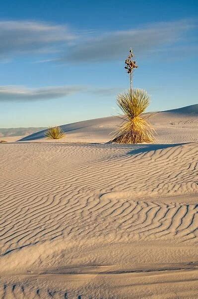 White Sands National Monument Scenic For Sale As Framed Prints Photos