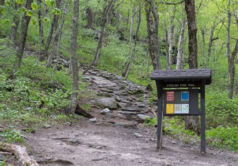 Hike the Enchanted Sterling Pond Trail in Stowe