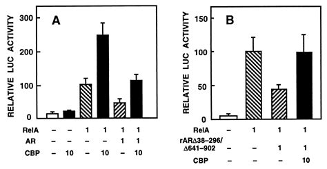 Creb Binding Protein In Androgen Receptor Mediated Signaling Pnas