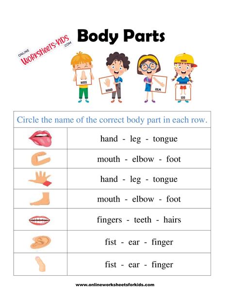 Body Parts Name With Picture For Kids