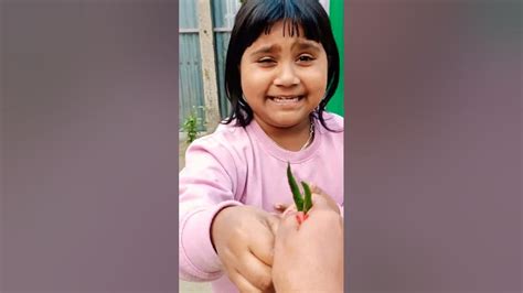 মিস্টুর দারুন দারুন দমফাটানো হাসির ফানি ভিডিও না দেখলে চরম মিস করবে 😁😁😝