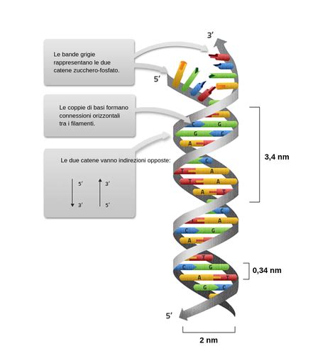 Complementarità Labster