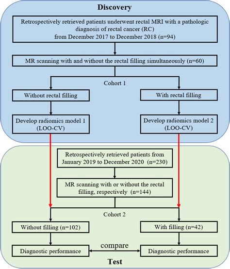 Flowchart Of Patient Inclusion Criteria Download Scientific Diagram