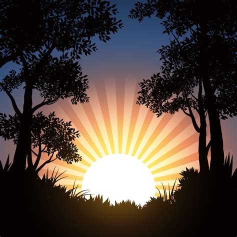 Forest silhouette illustration with sunrise 8074250 Vector Art at Vecteezy