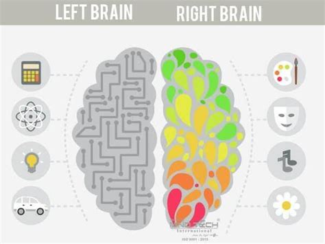 Midbrain Activation Brainseed International School