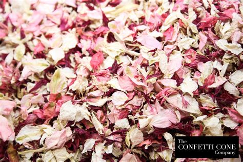 Why Choose Biodegradable Wedding Confetti