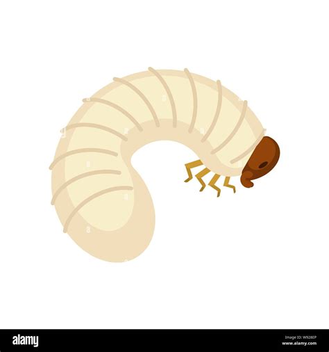 K Fer Larven Isoliert Fehler Caterpillar Made Vector Illustration