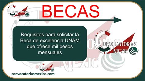 Requisitos Para Solicitar La Beca De Excelencia UNAM Que Ofrece Mil