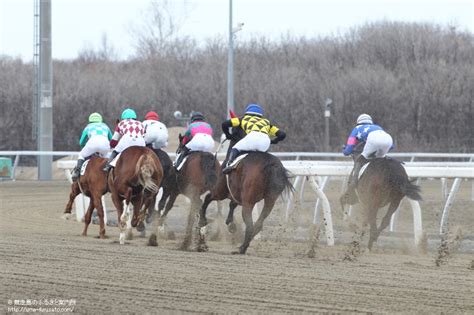 門別競馬場で競走能力･発走調教検査 馬産地ニュース 競走馬のふるさと案内所