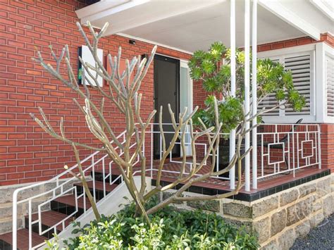 4 Rae Street Leederville Wa 6007 Sold 25 Aug 2022