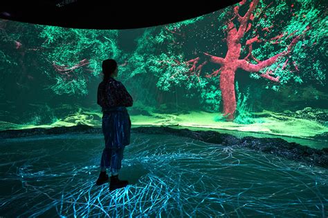 A Visitor Standing On The Interactive Floor Is Looking At The Immersive Animation Content