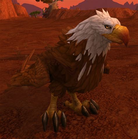 War Eagle Durotar Warcraft Wiki Your Wiki Guide To The World Of