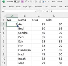 4 Cara Membuat Nomor Di Excel Secara Otomatis Solusi Palam Raya