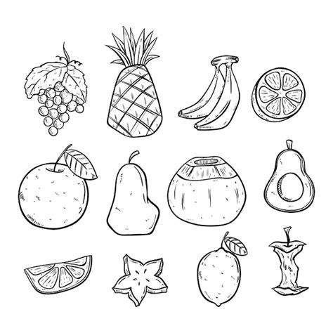 Premium Vector | Hand drawn fruits set with black and white color