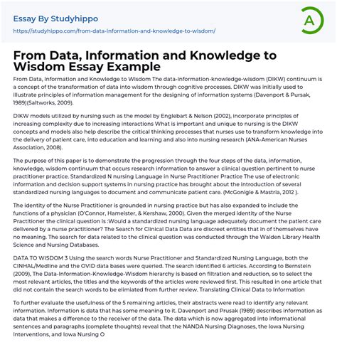 From Data Information And Knowledge To Wisdom Essay Example