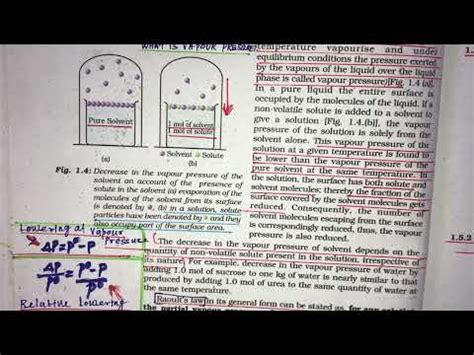 Solutions Raoults Law Decrease In Vapour Pressure Of Solutions 12th