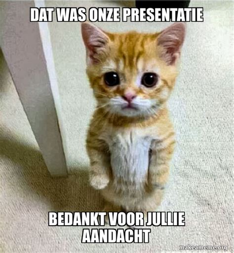 Dat Was Onze Presentatie Bedankt Voor Jullie Aandacht Cute Cat