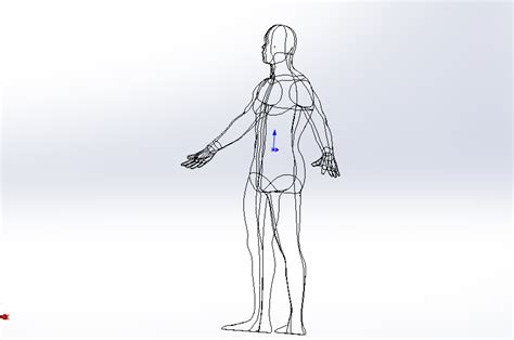 男士人体模型 Solidworks 2013 模型图纸下载 懒石网