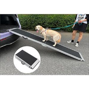 How to Make a Dog Ramp for a Car? DIY Tales - WeWantDogs