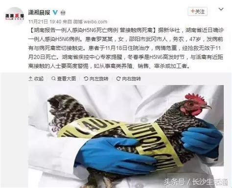 湖南確診一例人感染h5n6病例，這些事情湖南人你一定要知道！ 每日頭條