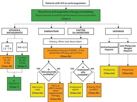 2022 Guideline For The Management Of Patients With Spontaneous