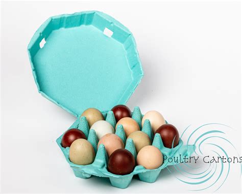 Dozen Eggs Carton