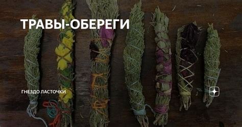 ТРАВЫ-ОБЕРЕГИ | Трава, Растения, Огород