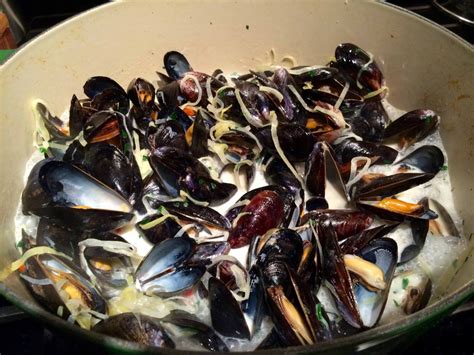 Mussels With Cream And Pernod In 2024 Mussels Recipe Mussels