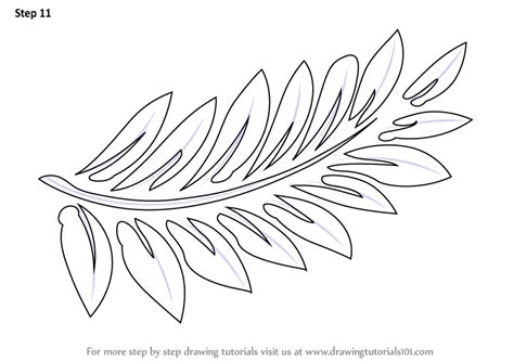 How to Draw Fern-fronds (Plants) Step by Step | DrawingTutorials101.com