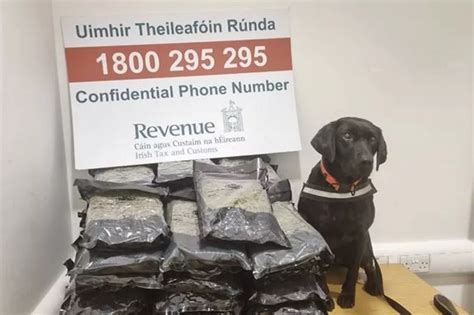 €500000 Drugs Sniffed Out Of Dublin Airport Baggage By Detector Dog