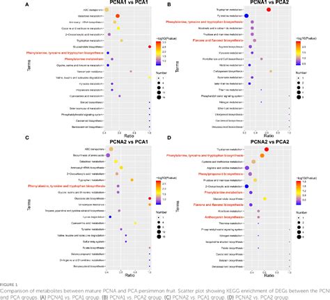 Figure From Comparative Transcriptomic And Metabolomic Analyses