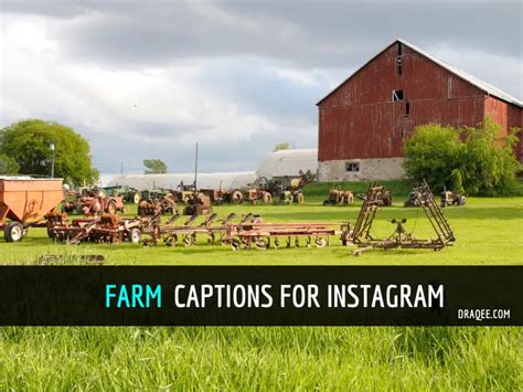 150 Farm Captions For Instagram Discover The Magic Of Farmlife Draqee