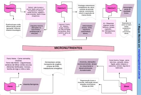 Micronutrientes Mapas Mentais Bioquímica Mental Maps Brasil