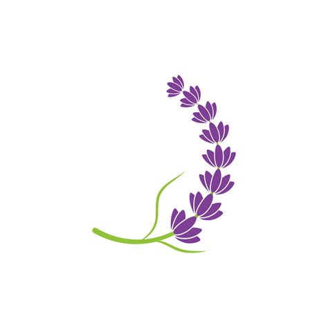 Lavender Flower Vector Icon Illustration 13614903 Vector Art At Vecteezy