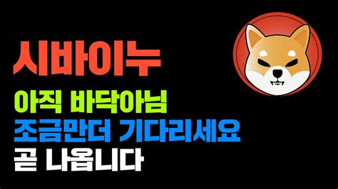 시바이누 긴급 아직 바닥아니라고 한달째 말하는중 곧 나옵니다 기다리세요 코인시황 Youtube