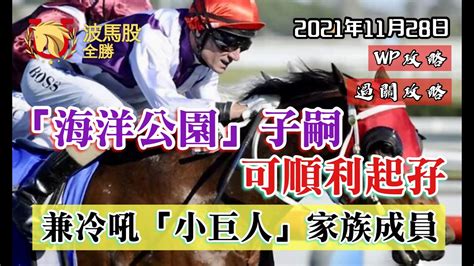 【香港賽馬】2021年11月28日心水提供｜「海洋公園」子嗣可順利起孖｜兼冷吼「小巨人」家族成員轉泥掘金｜wp攻略｜過關攻略 Youtube