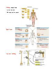 Osteology A Comprehensive Study Of Bones And Common Bone Course Hero