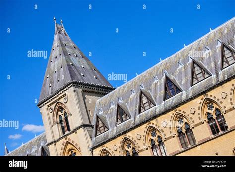 Natural History Museum Oxford Stock Photo - Alamy