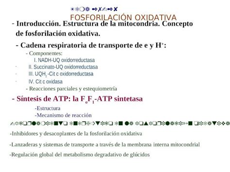 Ppt Tema Fosforilaci N Oxidativa Introducci N Estructura De