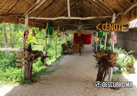 Disfruta del cenote Kikil cerca de Tizimín en Yucatán